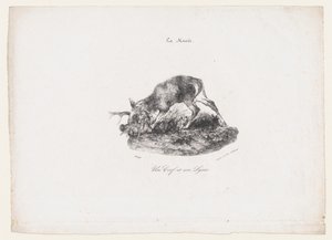 Un ciervo y un lince