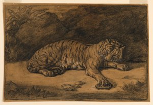 Un tigre y una tortuga de Antoine Louis Barye