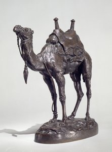 Dromedario egipcio con arnés de Antoine Louis Barye