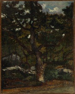 Lote en el Bosque de Fontainebleau de Antoine Louis Barye
