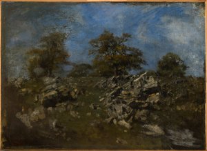 Paisaje con rocas