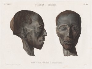 Descripción de Egipto: Tebas. Hipogeos Vol. II, Pl. 49 de Antoine Maxime Monsaldy
