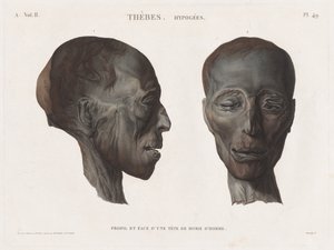 Descripción de Egipto: Tebas. Hipogeos Vol. II, Pl. 49 de Antoine Maxime Monsaldy
