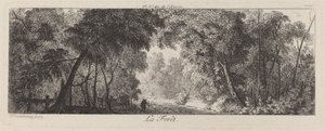 El bosque