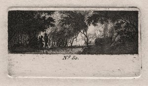 Vista de un bosque