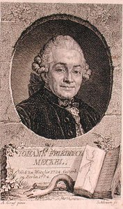 Retrato de Johann Friedrich Meckel (1724-76) grabado por John Schleuen (fl.1740-74)
