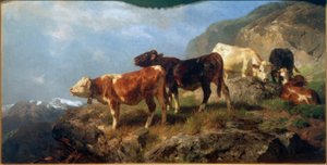 Ganado en las montañas altas de Anton Braith