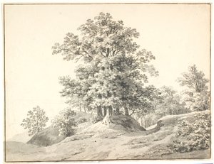 Paisaje con grandes árboles en el Elba. Buxtehude de Anton Carl Dusch