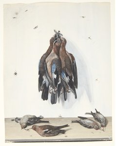 Naturaleza muerta con pájaros