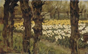 Campos de tulipanes de Anton L. Koster