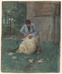 Esquilador de ovejas de Anton Mauve