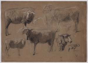 Estudios de ovejas de Anton Mauve