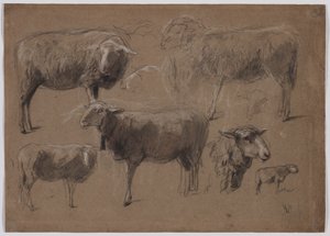 Estudios de ovejas, segunda mitad del siglo XIX de Anton Mauve