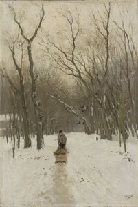 Invierno en los bosques de Scheveningen