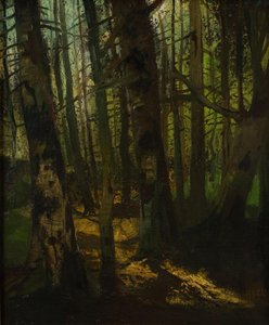 Limpieza de bosques de Anton Müller Wischin