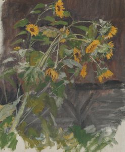 girasoles de Anton Nowak