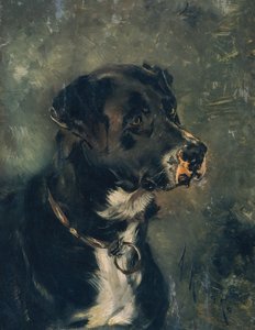 Cabeza de perro carnicero de Anton Romako