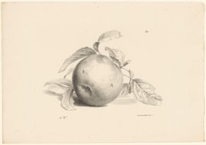 Appel
Fruta (título de la serie) de Anton Weiss