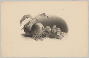 Manzanas, bayas, moras y uvas
Estudios sobre flores y frutas (...) 3ª entrega (título de la serie) de Anton Weiss