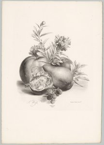 Flores, manzanas, peras, granadas y moras Estudios de flores y frutas (...) Décimo episodio (título de la serie) de Anton Weiss