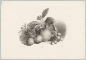 Flores, nectarinas y avellanas Estudios de flores y frutas (...) Décimo episodio (título de la serie) de Anton Weiss