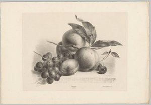 Uvas, ciruelas, melocotones y cerezas Estudios de flores y frutas (...) Décimo episodio (título de la serie) de Anton Weiss