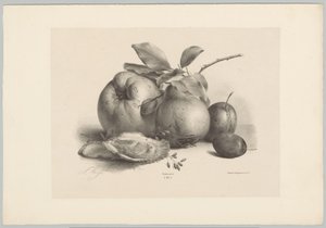 Frutas, ciruelas y ostras Estudios de flores y frutas (...) Décimo episodio (título de la serie) de Anton Weiss