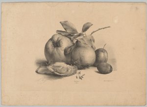 Fruta, ciruelas y ostras
Flower and Fruit Studien (...) 10º episodio (título de la serie) de Anton Weiss