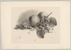 Melocotones, bayas, avellanas y moras Estudios de flores y frutas (...) Décimo episodio (título de la serie) de Anton Weiss