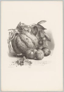 Calabaza, tomates y cerezas Estudios de flores y frutas (...) Décimo episodio (título de la serie) de Anton Weiss