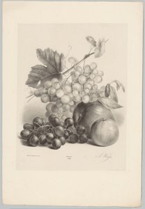 Uvas y manzanas rojas y blancas Estudios de flores y frutas (...) Décimo episodio (título de la serie) de Anton Weiss