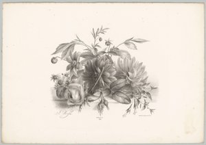 Rosas, dalias y fucsias Estudios de flores y frutas (...) Décimo episodio (título de la serie) de Anton Weiss