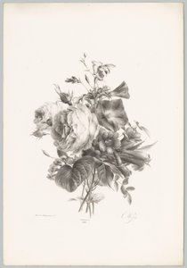 Rosas y flores en forma de cáliz Estudios de flores y frutas (...) Décimo episodio (título de la serie)