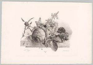 Rosas, lirios, flores acampanadas y mariposa Estudios de flores y frutas (...) Décimo episodio (título de la serie) de Anton Weiss