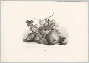Higos, uvas y naranja Estudios de flores y frutas (...) Décimo episodio (título de la serie) de Anton Weiss