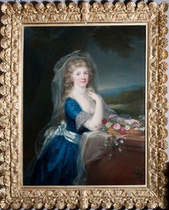 Retrato de Anna Pieri Brignole-Sale (Brignole Sale) (1765-1815)