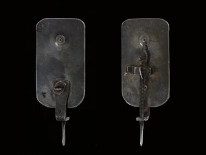 Microscopio, c.1690 de Antoni van Leeuwenhoek