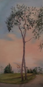 Árboles de Tapeley Park, 2013 (óleo sobre lienzo)
