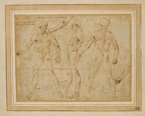 Tres desnudos masculinos, de frente, de espaldas y de perfil; ... de Antonio (attr. to) Pollaiuolo
