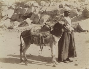 Bourier y Bouriquer, Egipto de Antonio Beato