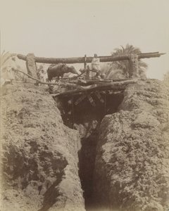 Sehaquieh, Egipto de Antonio Beato