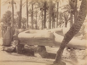 Statue of Ramesses at Saqqara