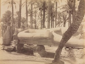 Estatua de Ramsés en Saqqara, c. 1870s - 1880s