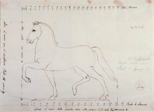 Estudio para un caballo para un monumento ecuestre (dibujo) de Antonio Canova
