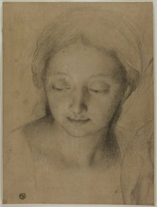 Cabeza de mujer de Antonio Cavallucci