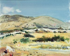 Gargano, 1981 de Antonio Ciccone