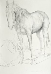 Caballo en Coolmore, 1990 de Antonio Ciccone