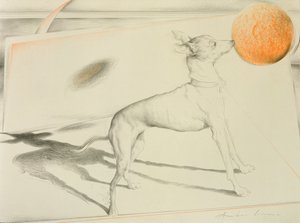 Perro espacial