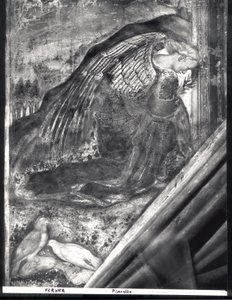 Arcángel Gabriel (detalle) de Antonio Pisanello
