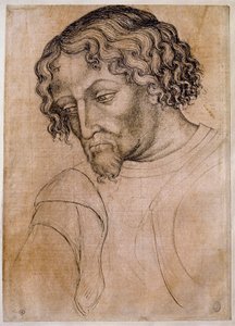 Busto de hombre barbudo, cabeza inclinada hacia la izquierda. Dibujo del taller de Antonio di Puccio Pisano dit Pisanello (1395-1455). Pluma (dibujo), sangre. Louvre, gabinete de dibujos de Antonio Pisanello